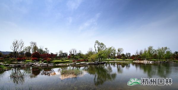 亚洲精品白浆高清久久久久久