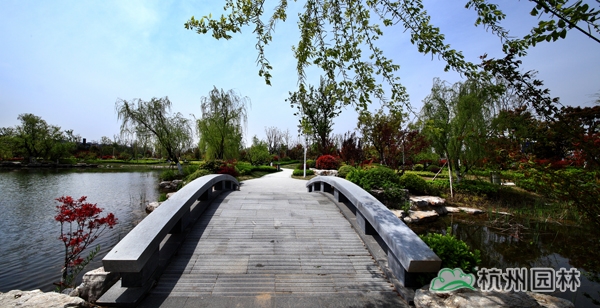 亚洲精品白浆高清久久久久久