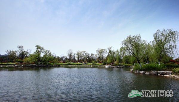 亚洲精品白浆高清久久久久久