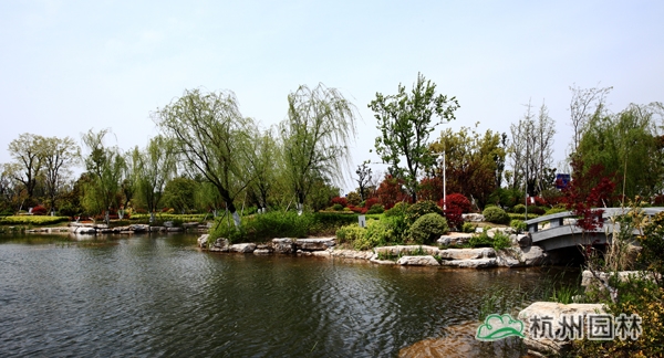 亚洲精品白浆高清久久久久久