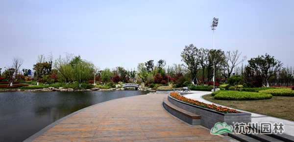 亚洲精品白浆高清久久久久久