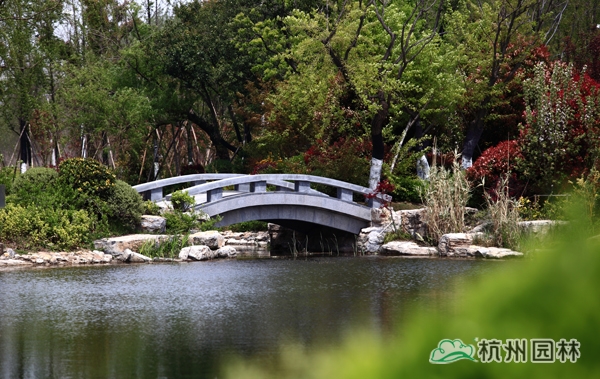 亚洲精品白浆高清久久久久久