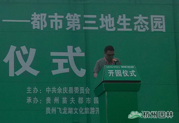 亚洲精品白浆高清久久久久久