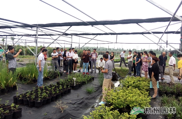 亚洲精品白浆高清久久久久久