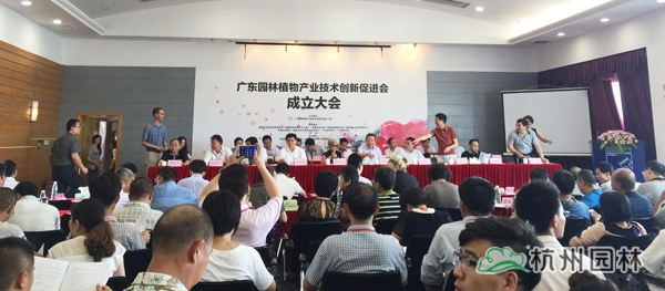 亚洲精品白浆高清久久久久久