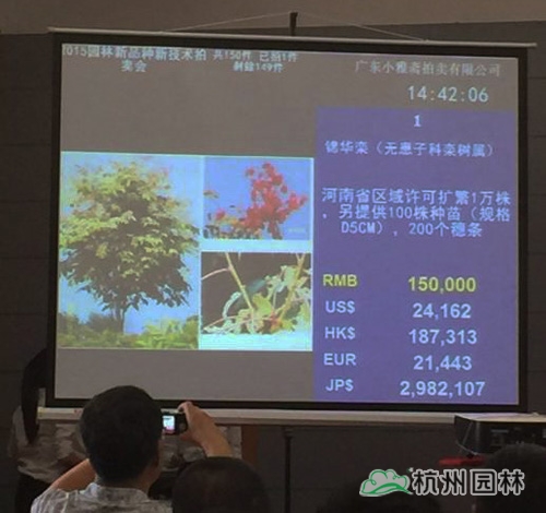 亚洲精品白浆高清久久久久久