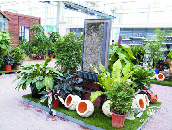 亚洲精品白浆高清久久久久久