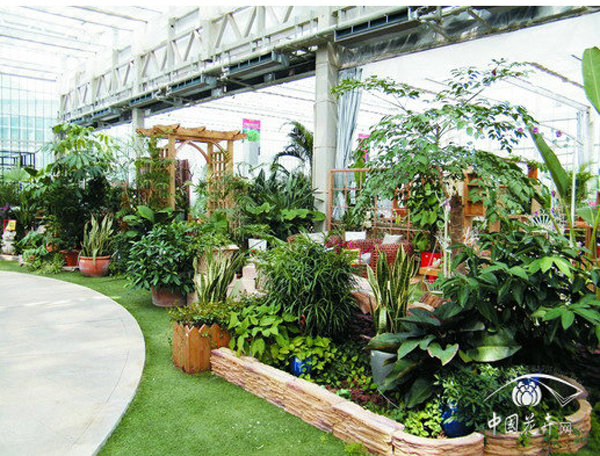 亚洲精品白浆高清久久久久久