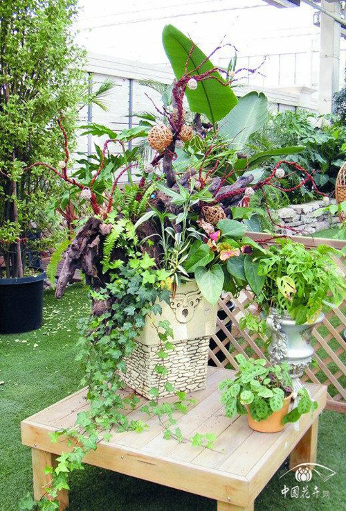 亚洲精品白浆高清久久久久久