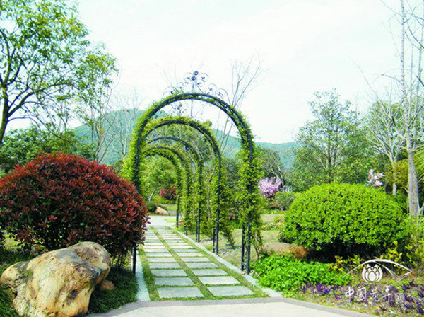 亚洲精品白浆高清久久久久久