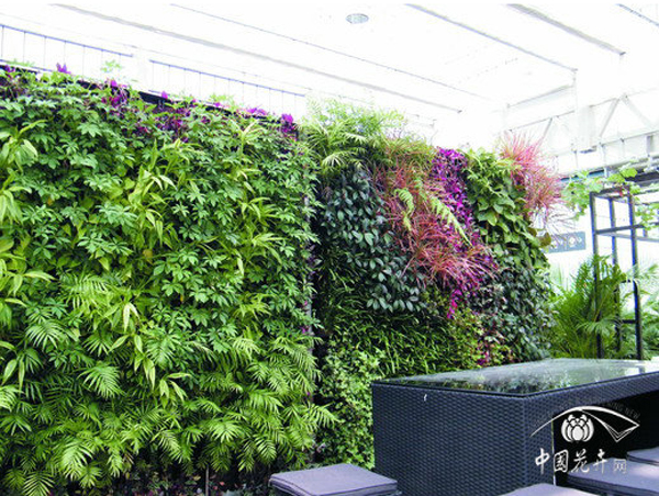 亚洲精品白浆高清久久久久久