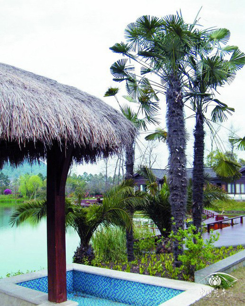 亚洲精品白浆高清久久久久久