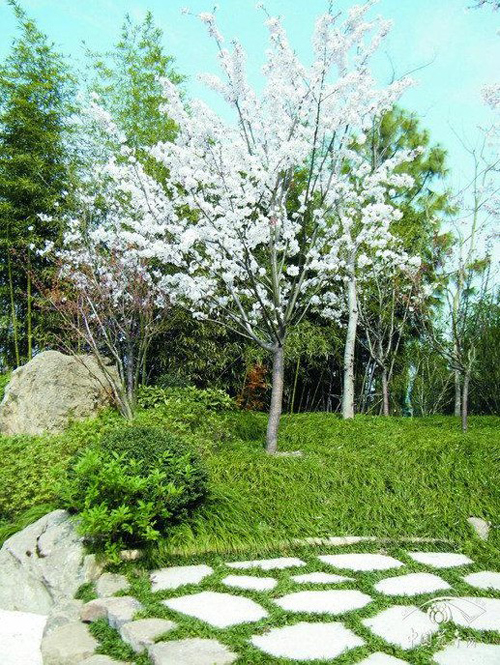 亚洲精品白浆高清久久久久久