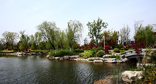 亚洲精品白浆高清久久久久久