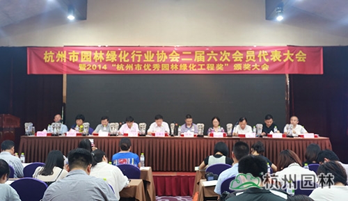 亚洲精品白浆高清久久久久久