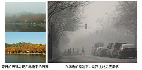 亚洲精品白浆高清久久久久久