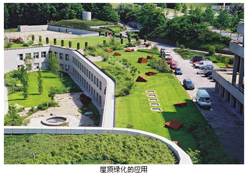 亚洲精品白浆高清久久久久久