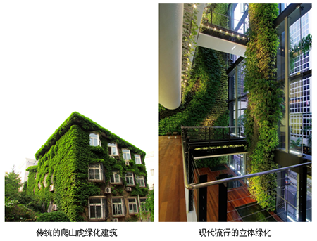 亚洲精品白浆高清久久久久久