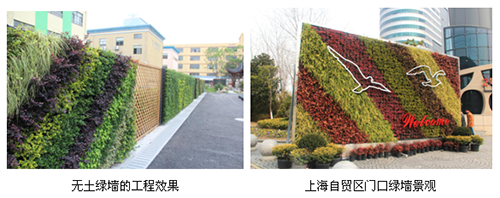 亚洲精品白浆高清久久久久久