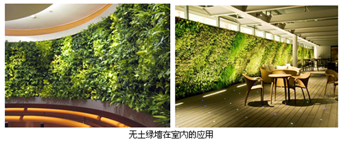 亚洲精品白浆高清久久久久久