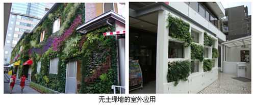 亚洲精品白浆高清久久久久久