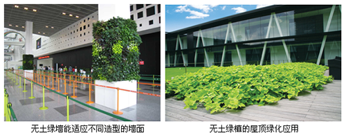 亚洲精品白浆高清久久久久久