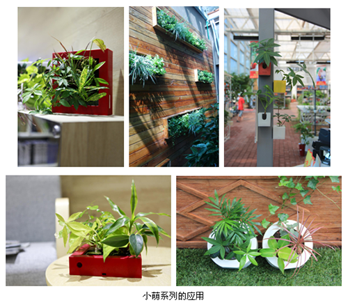 亚洲精品白浆高清久久久久久