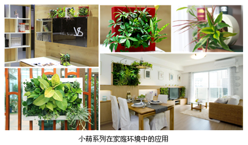 亚洲精品白浆高清久久久久久