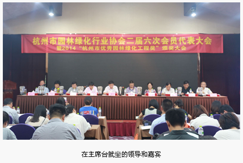 亚洲精品白浆高清久久久久久