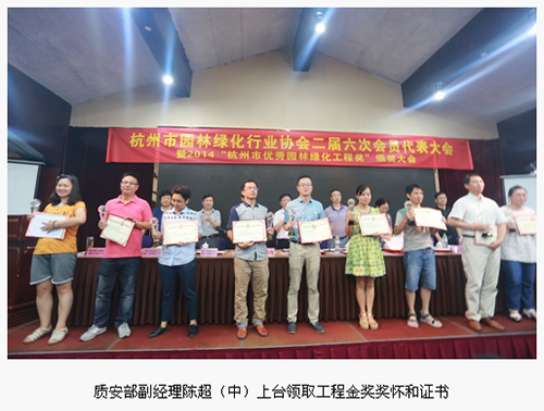 亚洲精品白浆高清久久久久久