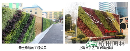 亚洲精品白浆高清久久久久久