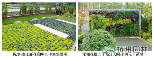 亚洲精品白浆高清久久久久久