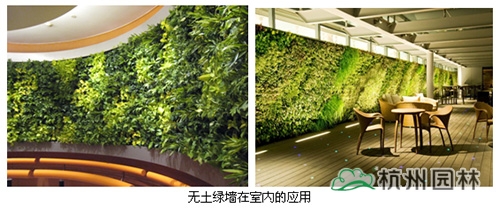 亚洲精品白浆高清久久久久久