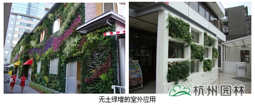 亚洲精品白浆高清久久久久久