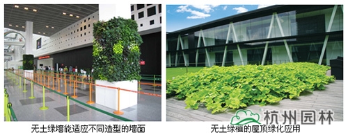 亚洲精品白浆高清久久久久久