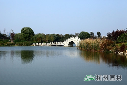 亚洲精品白浆高清久久久久久