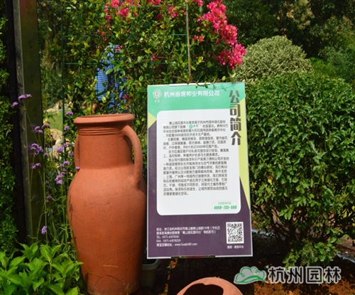 亚洲精品白浆高清久久久久久