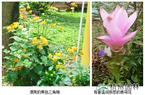 亚洲精品白浆高清久久久久久
