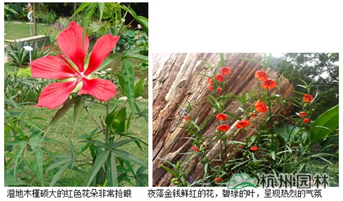 亚洲精品白浆高清久久久久久