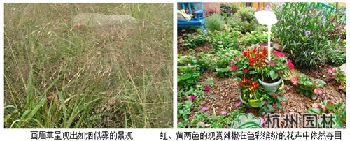 亚洲精品白浆高清久久久久久