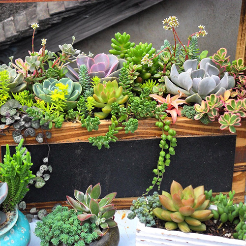 亚洲精品白浆高清久久久久久