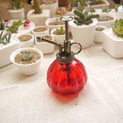 亚洲精品白浆高清久久久久久