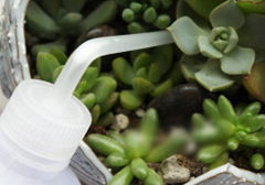 亚洲精品白浆高清久久久久久