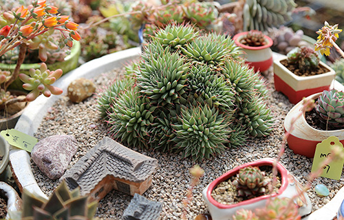 亚洲精品白浆高清久久久久久