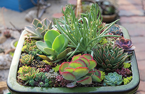 亚洲精品白浆高清久久久久久