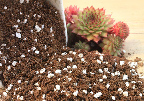 亚洲精品白浆高清久久久久久