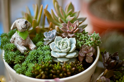 亚洲精品白浆高清久久久久久