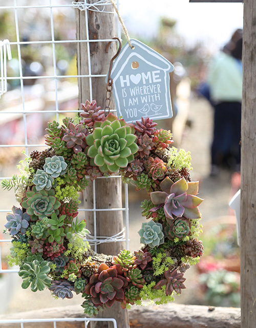 亚洲精品白浆高清久久久久久