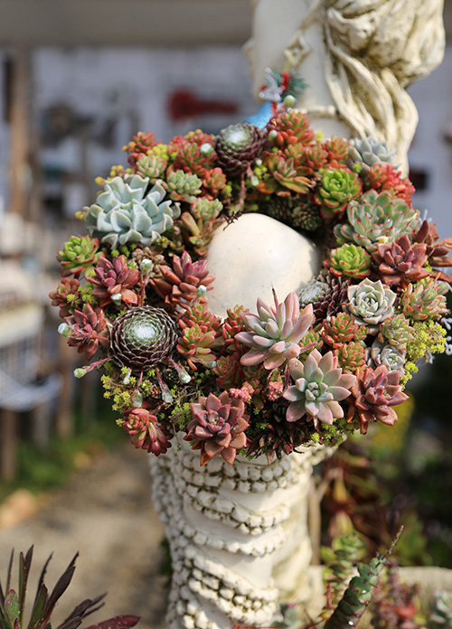 亚洲精品白浆高清久久久久久