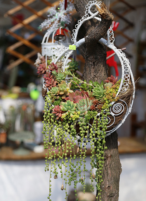 亚洲精品白浆高清久久久久久